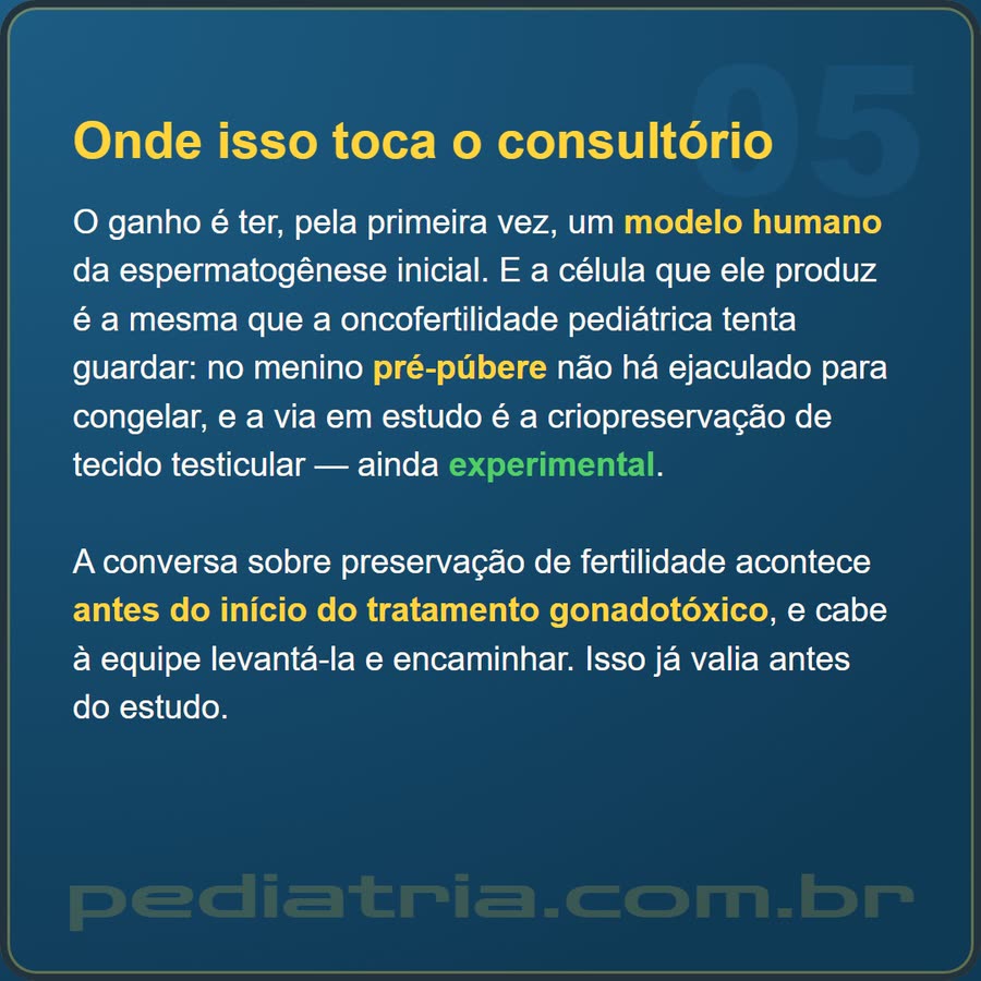 Slide 5 de 6 da edição