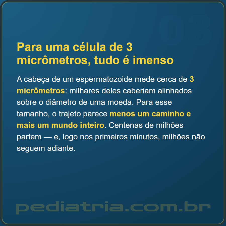 Slide 3 de 6 da edição