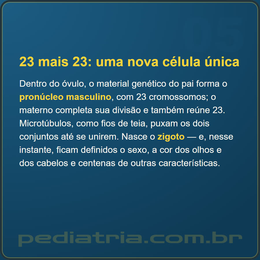 Slide 5 de 6 da edição